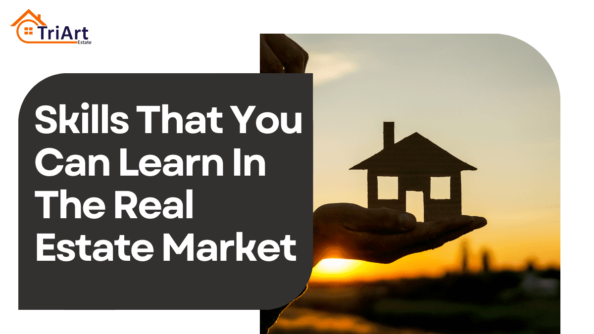 Skills That You Can Learn In The Real Estate Market