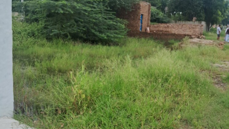 100 Sq.Yd. Plot in Sohna Gurgaon