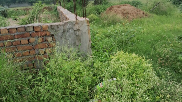 100 Sq.Yd. Plot in Sohna Gurgaon