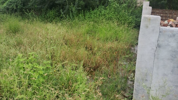 100 Sq.Yd. Plot in Sohna Gurgaon