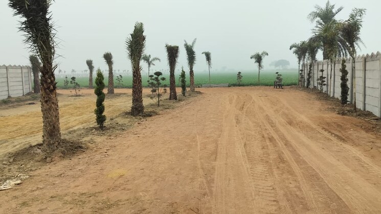 150 Sq.Yd. Plot in Sohna Gurgaon