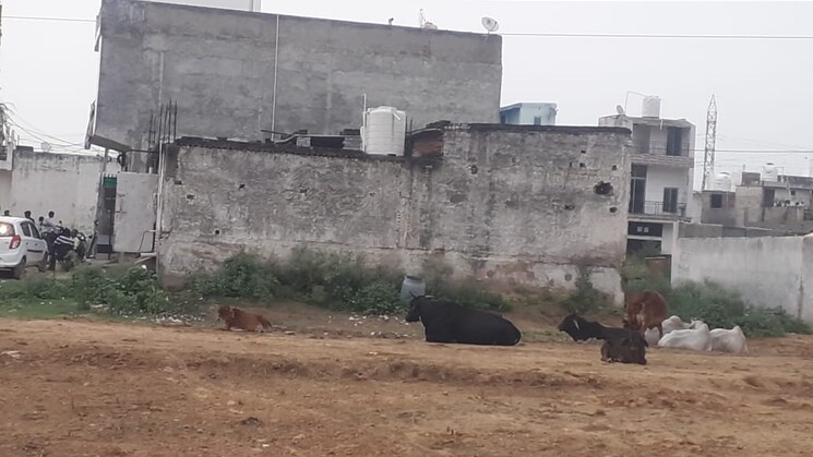 196 Sq.Yd. Plot in Sohna Road Gurgaon