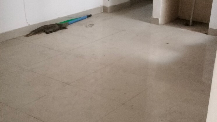 3.5 Bedroom Apartment in Sohna Sector 2 Gurgaon