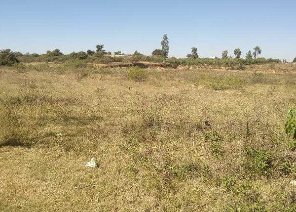 Plot in Sohna Gurgaon