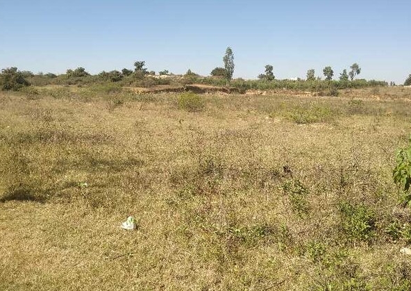 Plot in Sohna Gurgaon
