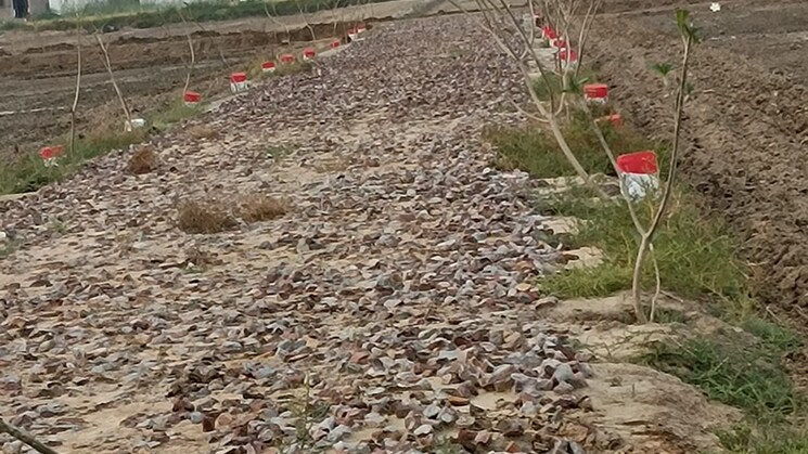 Plot in Sohna Sector 16 Gurgaon