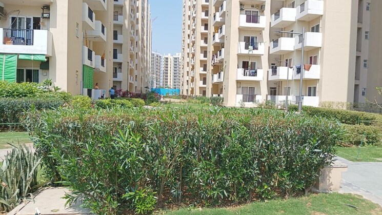 2 Bedroom Apartment in Sohna Sector 4 Gurgaon