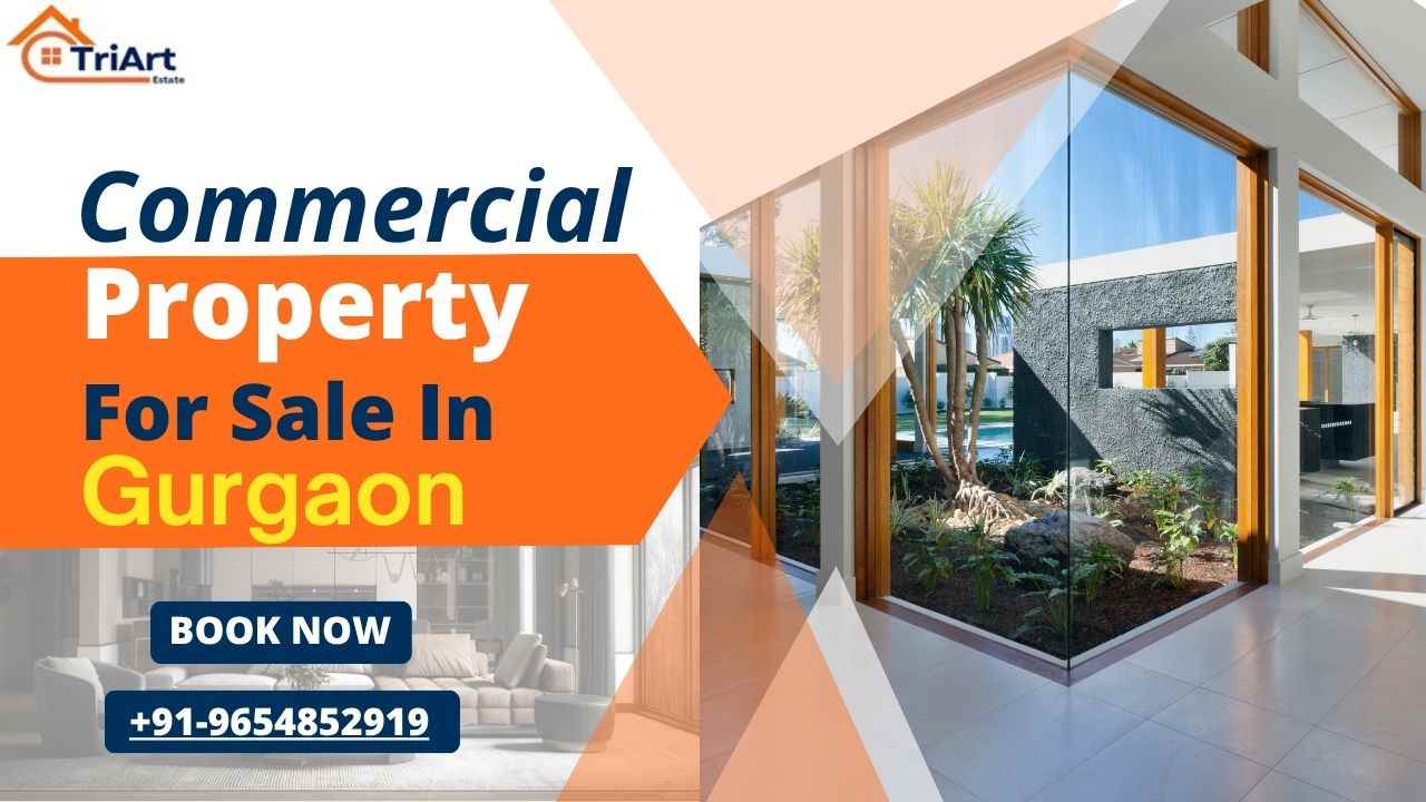Commercial Property in Gurgaon