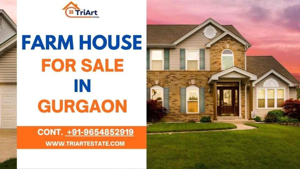 Farm House for Sale in Gurgaon: A Green Investment for Peaceful Living