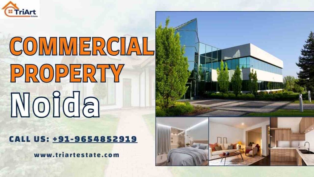 Commercial Property in Noida​ – A Gateway to Profitable Business Investment 1