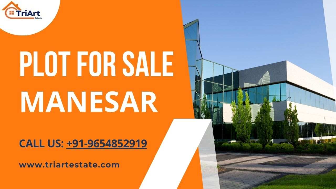 Plots in Manesar