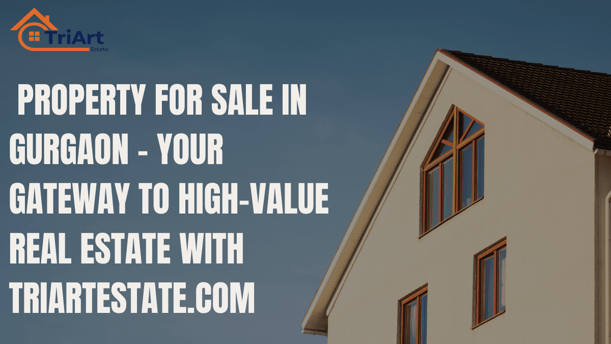 🏠 Property for Sale in Gurgaon – Your Gateway to High-Value Real Estate with TriArtEstate.com 4