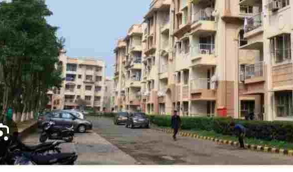 2BHK Furnished Builder Floor in Ashiana Tree House