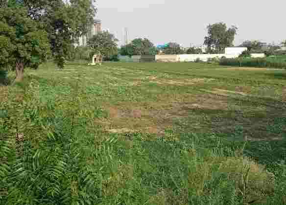 7 Acre Development Plot for Sale in Dharampur, Gurgaon