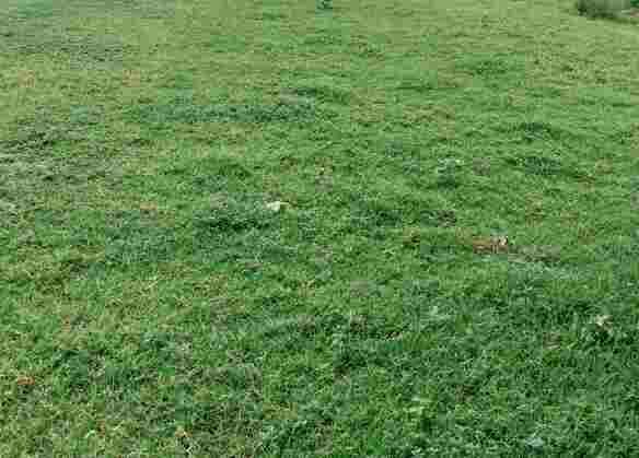 Commercial Land for Sale in Faridabad