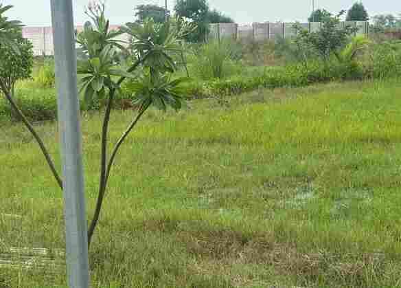 Plot for Sale in Faridabad