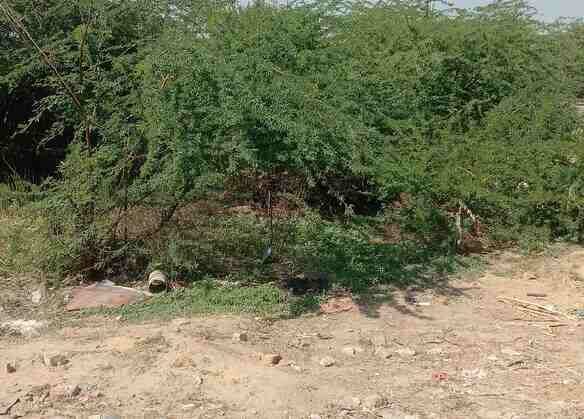 Prime Plot on Alwar Bhiwadi Road, Bhiwadi