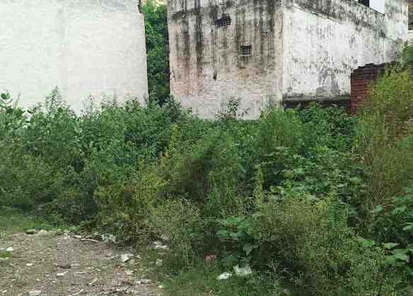 Plot for Sale in Bharat Colony, Faridabad