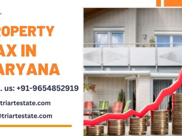 property tax haryana