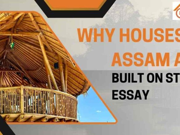 Why Houses in Assam are Built on Stilts Essay