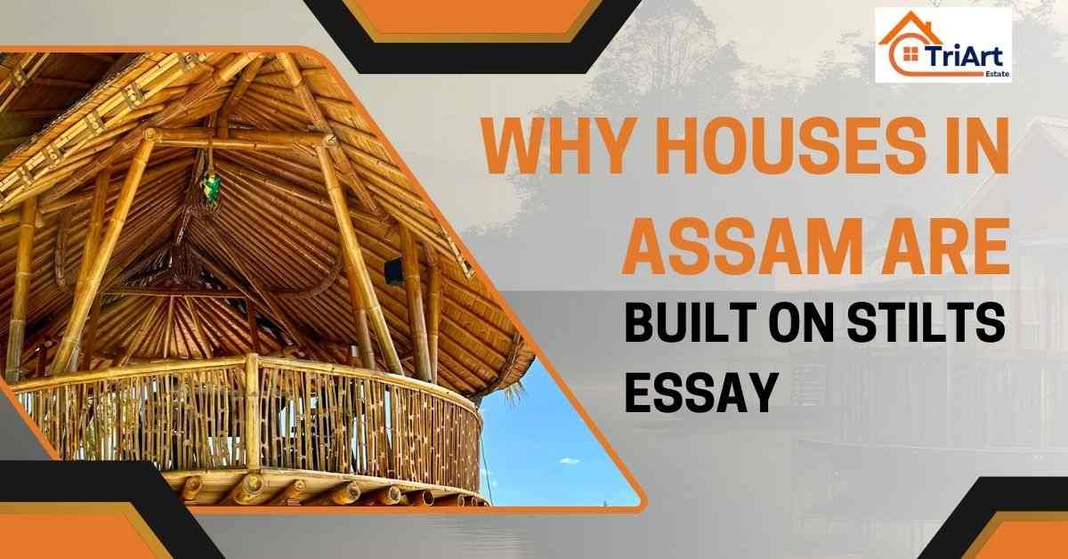Why Houses in Assam are Built on Stilts Essay
