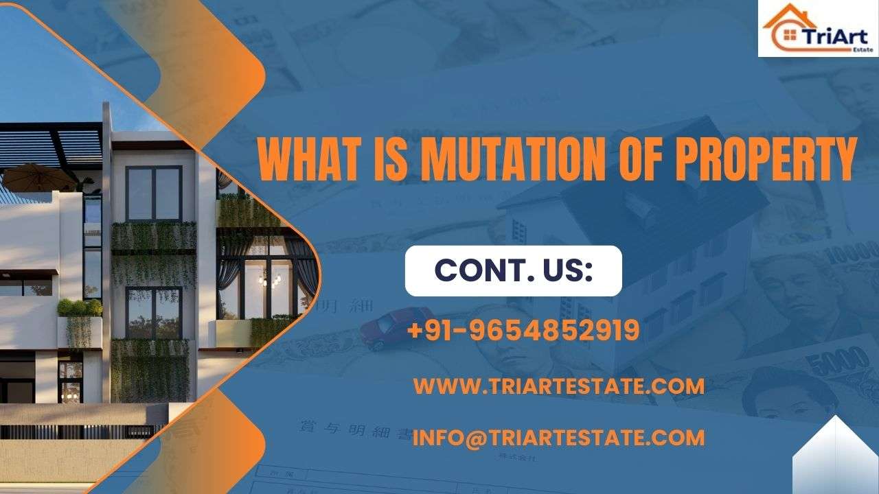 what is mutation of property​