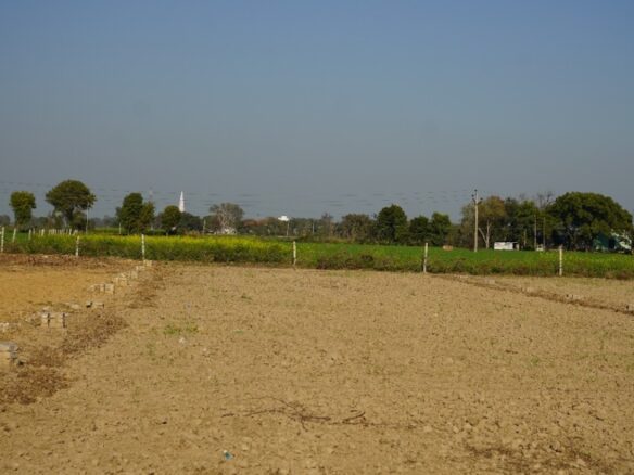 Buy 100 Sq. Yards Plot Near Jewar Airport – A Golden Investment Opportunity 16