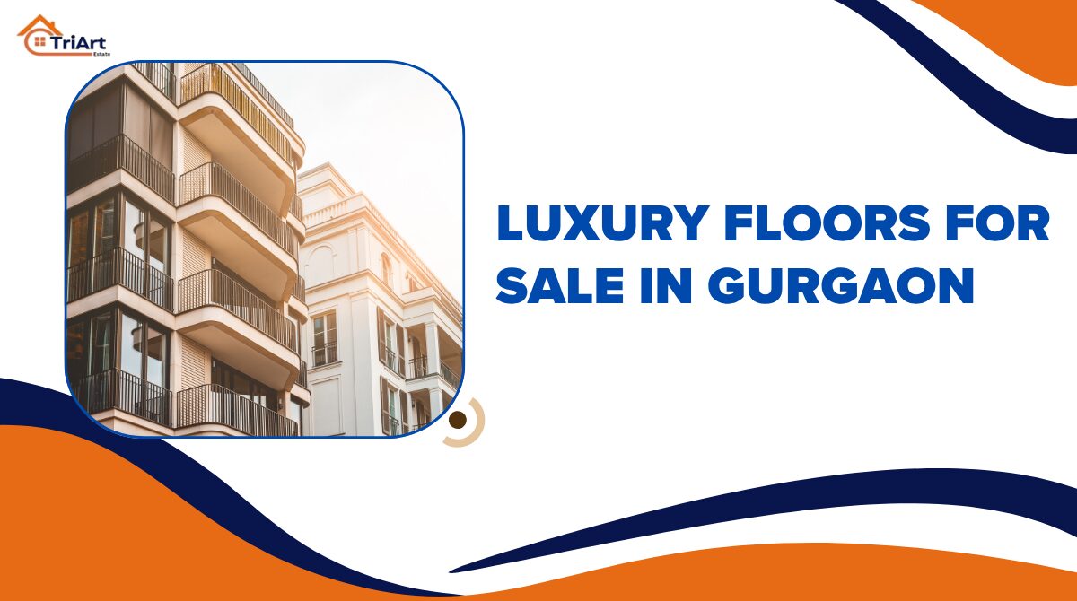 Luxury Floors for Sale in Gurgaon – Discover Your Dream Home 19 Luxury Floors for Sale in Gurgaon – Discover Your Dream Home 19