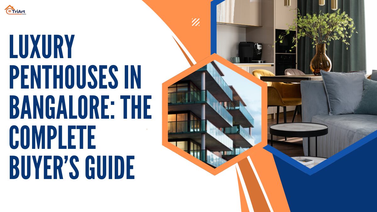 Luxury Penthouses in Bangalore