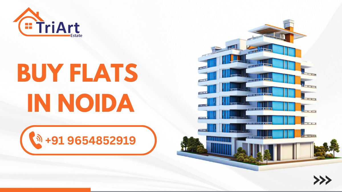 buy flats in noida