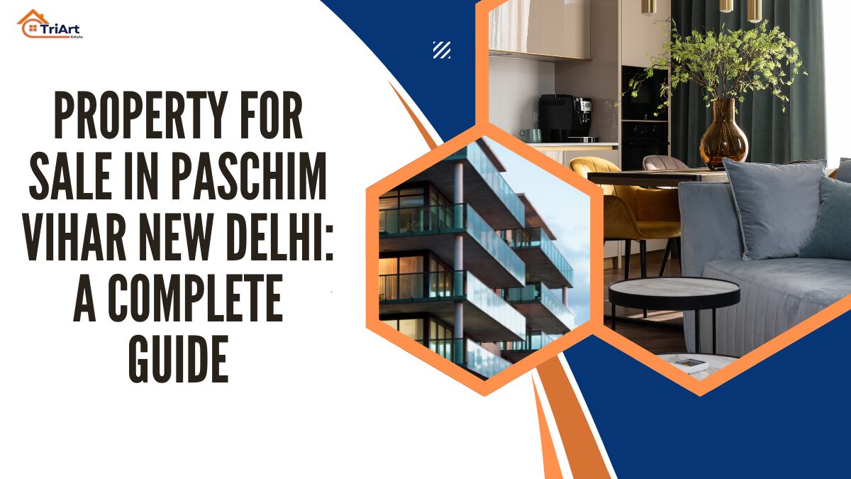Property for Sale in Paschim Vihar