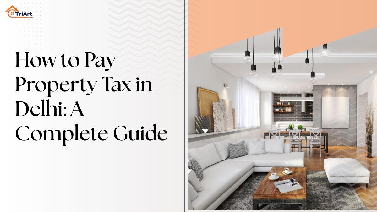 How to Pay Property Tax in Delhi