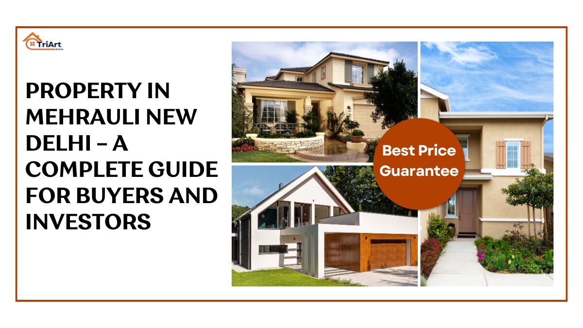 Property in Mehrauli New Delhi