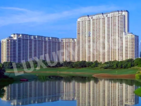 DLF Camellias Sector 42 Gurgaon 4