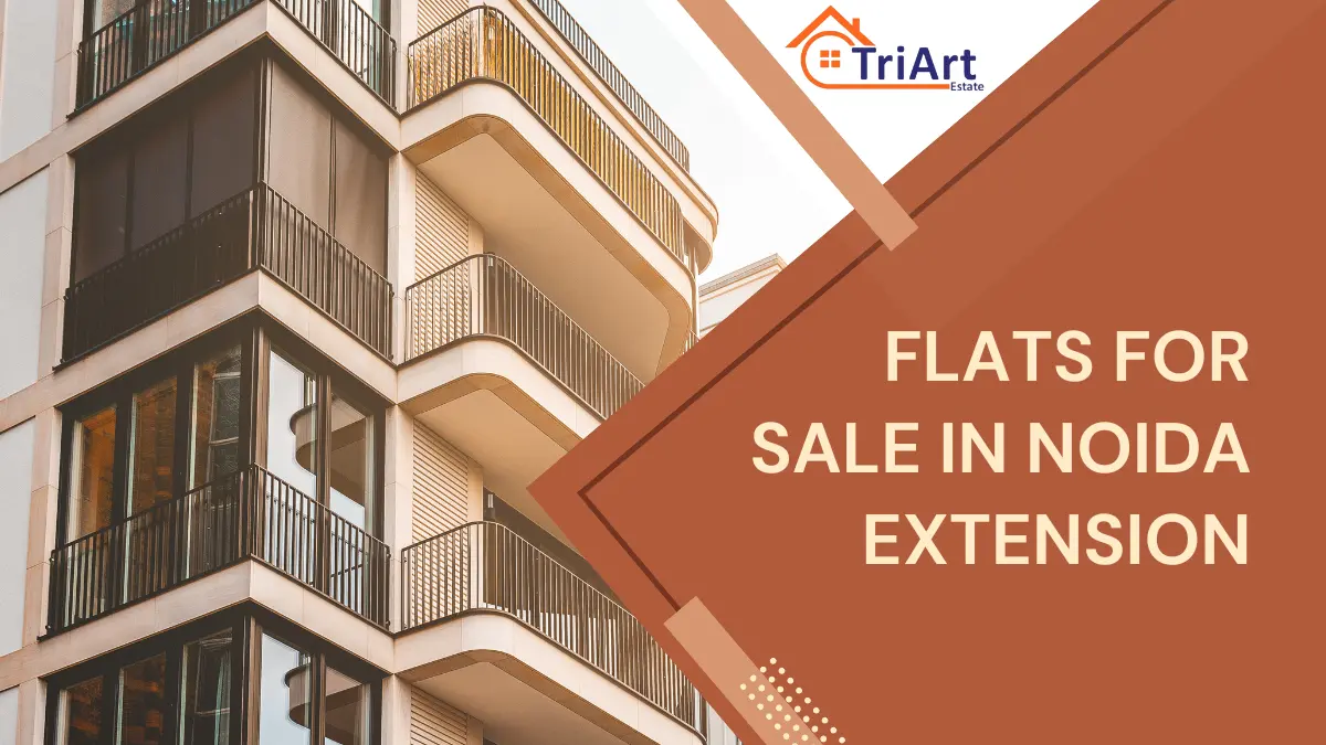 Flats for Sale in Noida Extension