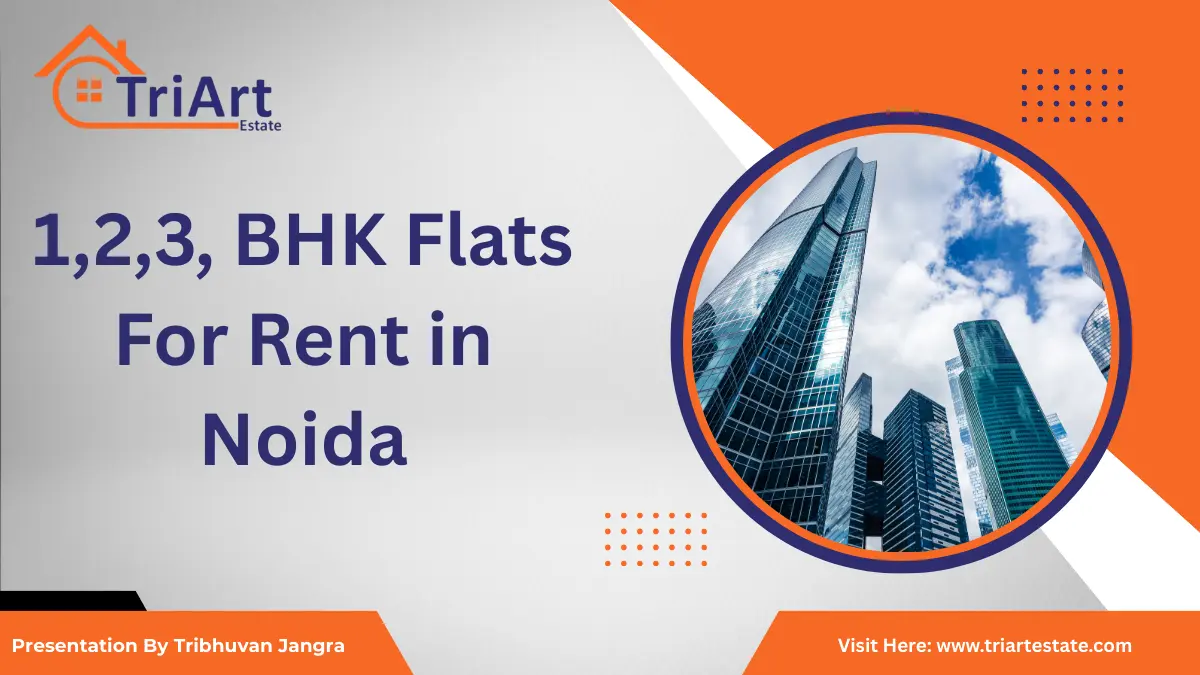 Best 1 BHK Flats for Rent in Noida