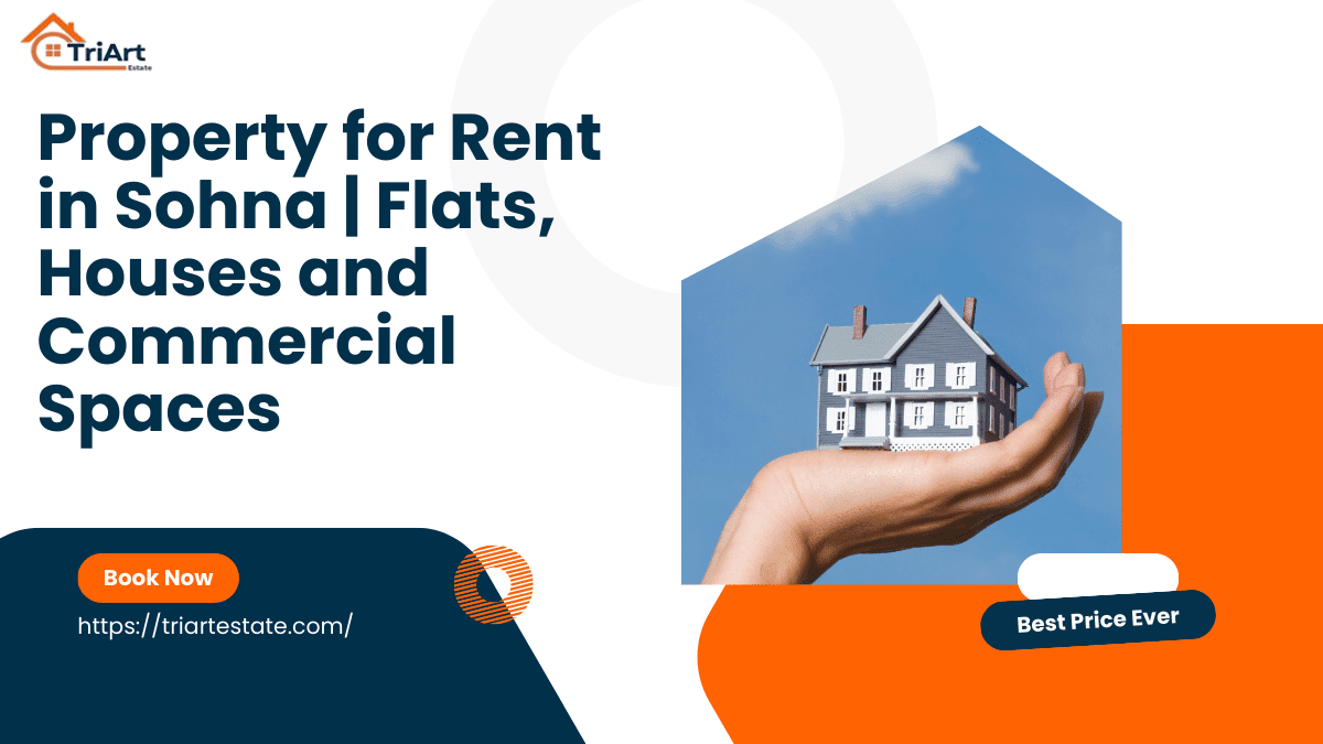 Property for Rent in Sohna