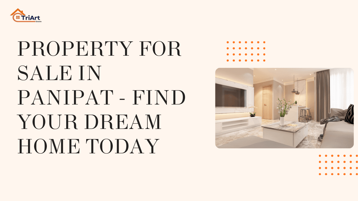 Property for Sale in Panipat
