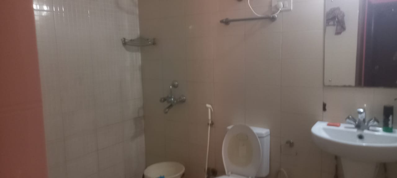 first toilet