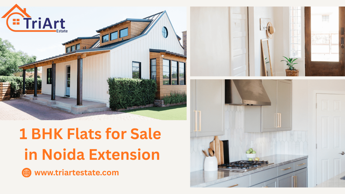 1 BHK Flats for Sale in Noida