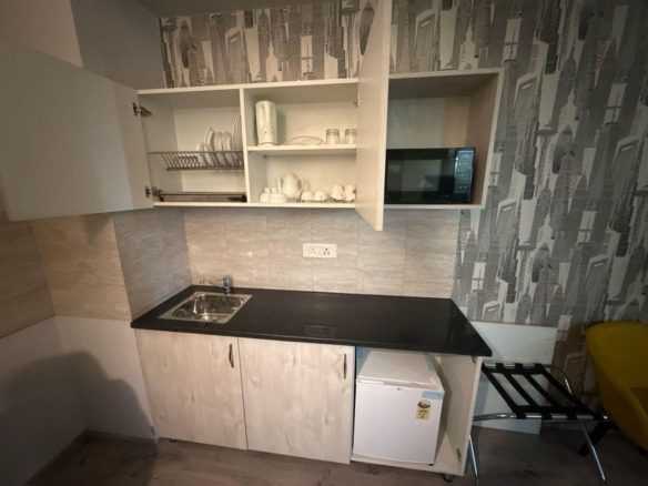 Studio Apartments / 1 RK Flats in Sector 88A, Gurgaon 2