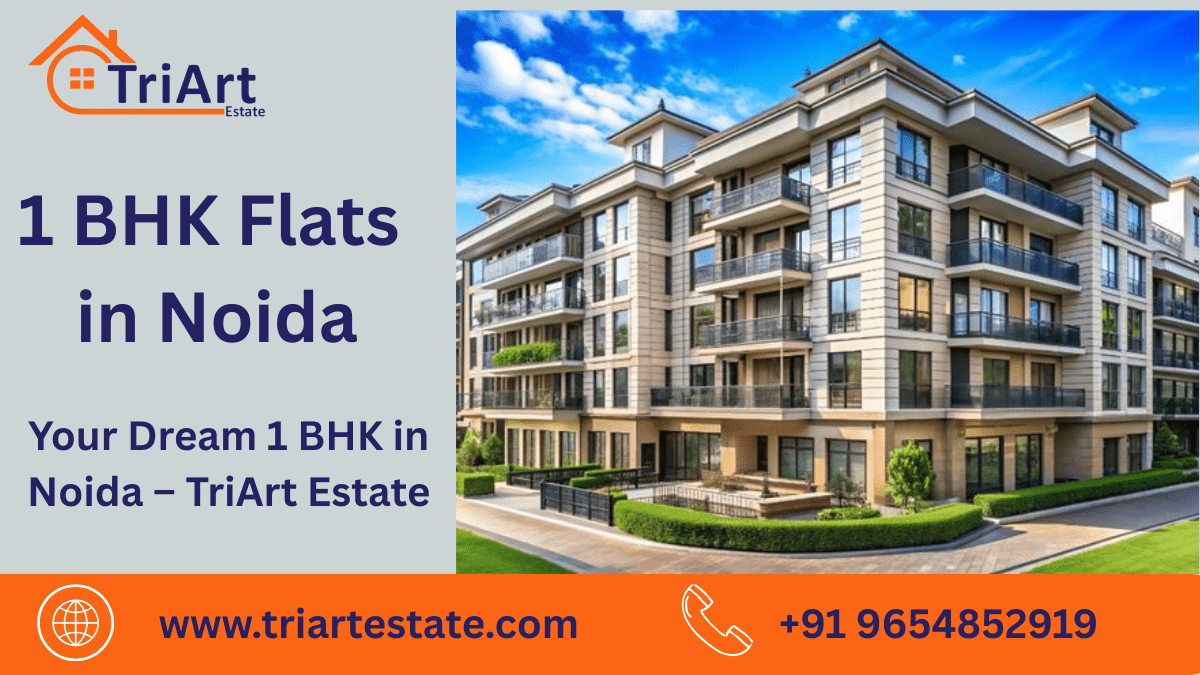 1 BHK Flats in Noida