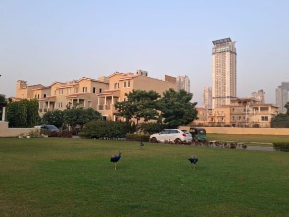 3 BHK Independent Builder Floor in Sector 66, Gurgaon 24
