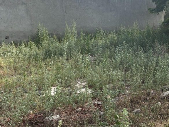 Commercial plot / Land for sale in Badshahpur, Gurgaon 38