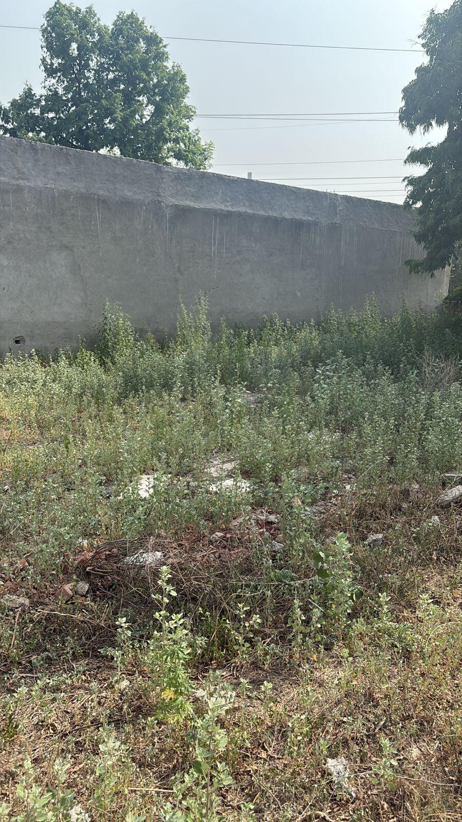 Badshahpur, Gurgaon 3