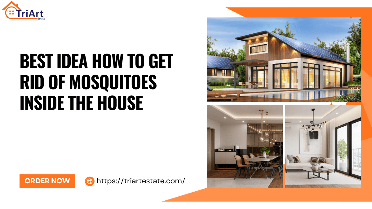 Best Idea How to Get Rid of Mosquitoes Inside the House