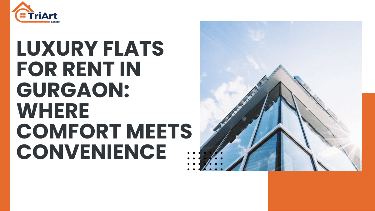 Luxury Flats for Rent in Gurgaon_ Where Comfort Meets Convenience