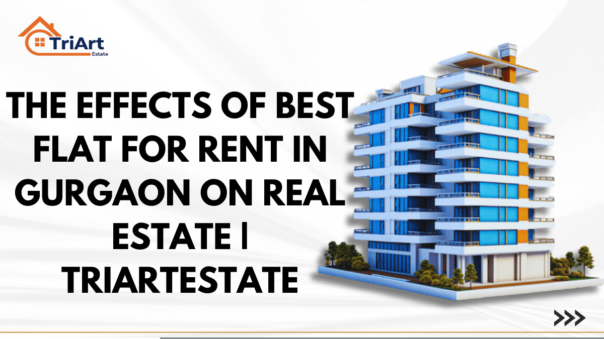 The Effects of Best Flat for Rent in Gurgaon on Real Estate _ TriartEstate (2)