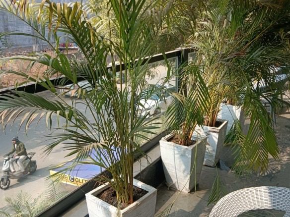 Studio Apartments / 1 RK Flats for rent in Sector 38, Gurgaon 4