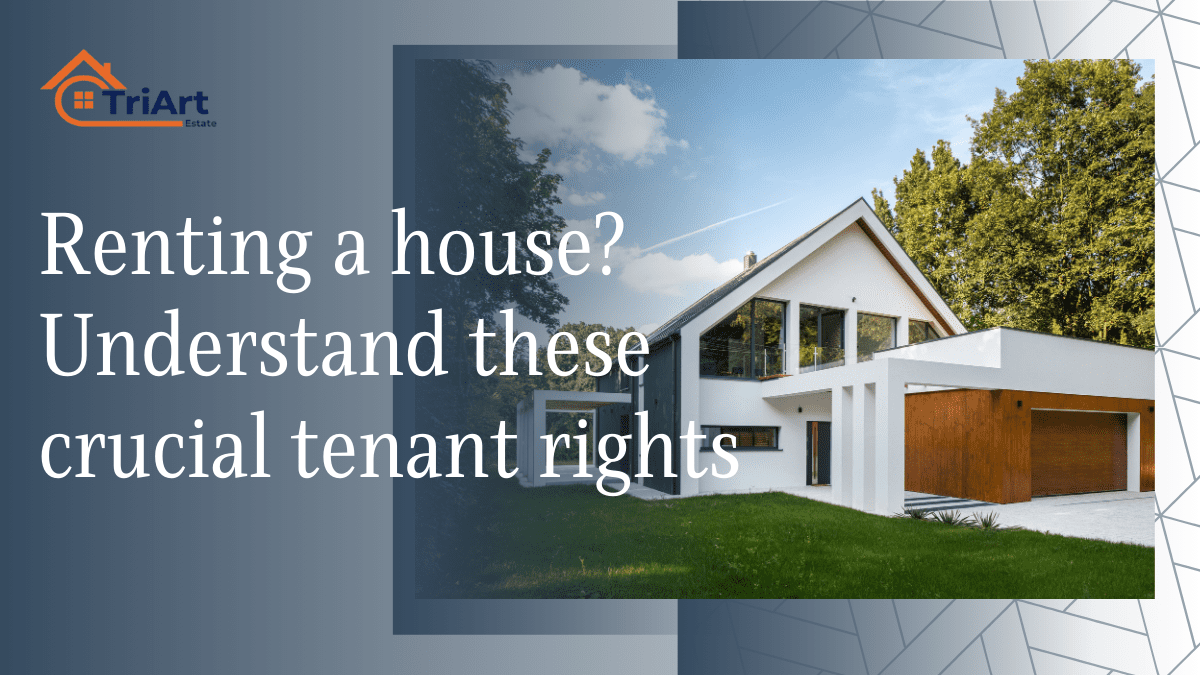 Renting a house Understand these crucial tenant rights